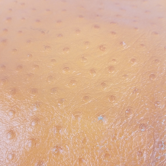 Claudia Firenze Ostrich Textured Italian Leather Bag - Picture 16 of 16